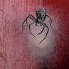 Filename=Spider~0.jpg
Filesize=59KiB
Dimensions=600x600
Date added=Sep 23, 2005 Spider~0.jpg