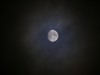 Filename=moon_002.jpg
Filesize=150KiB
Dimensions=1024x768
Date added=Nov 14, 2005 moon_002.jpg